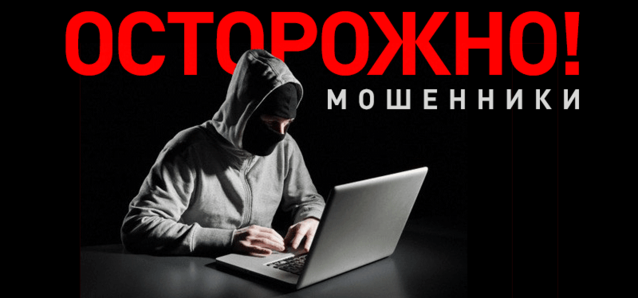 В Архангельске прошёл открытый чат на тему интернет-мошенничества